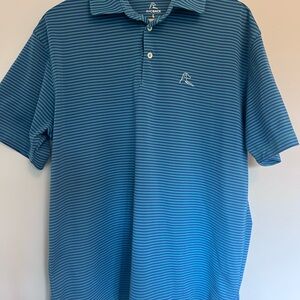 Rhoback Birdie Striped Men's Performance Polo Shirt Large Stretch green purple